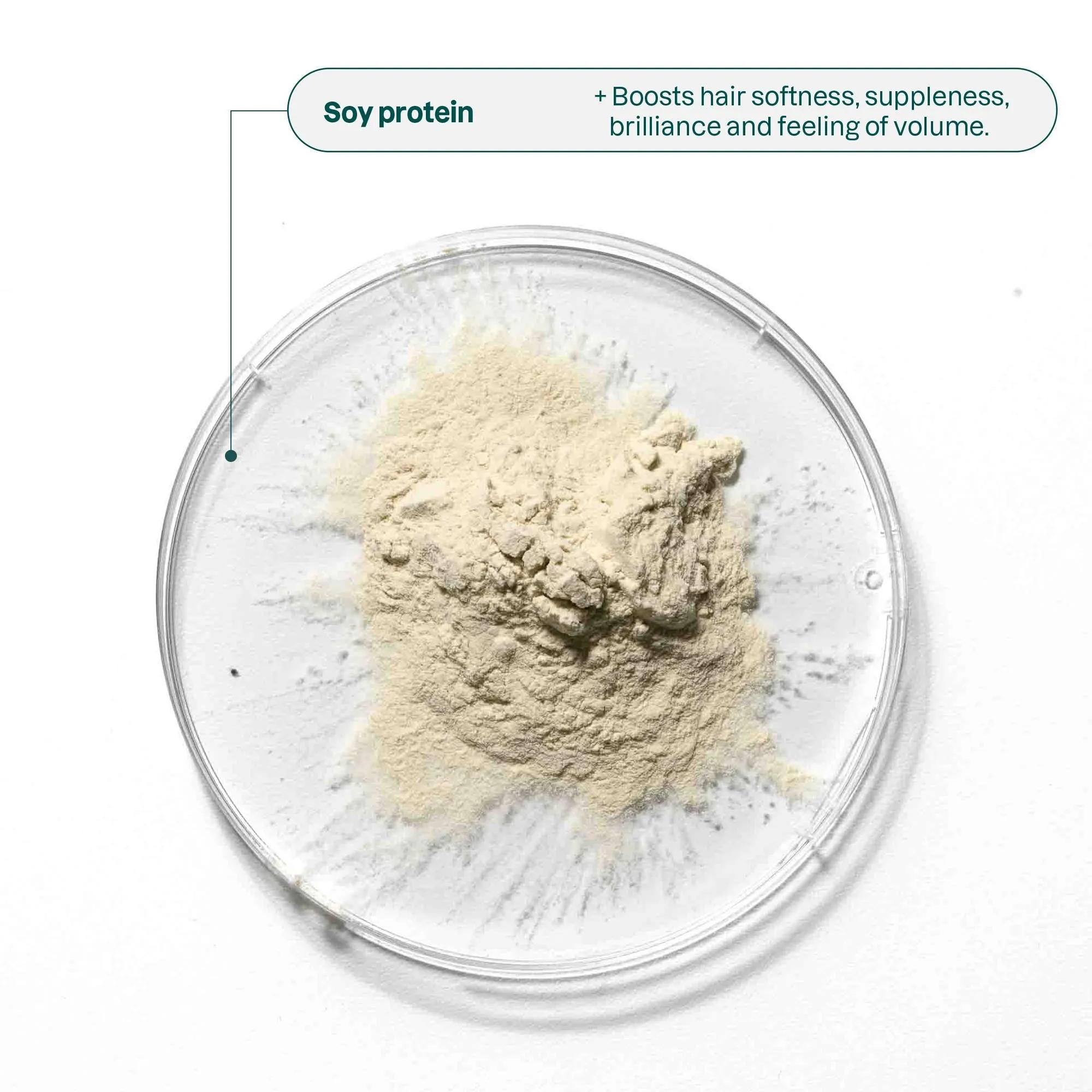 Volumizing Shampoo & Conditioner Infused with Essential Oils :  super leaves™ essential oils